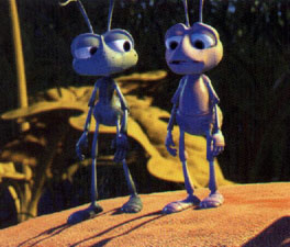 The two boy ants